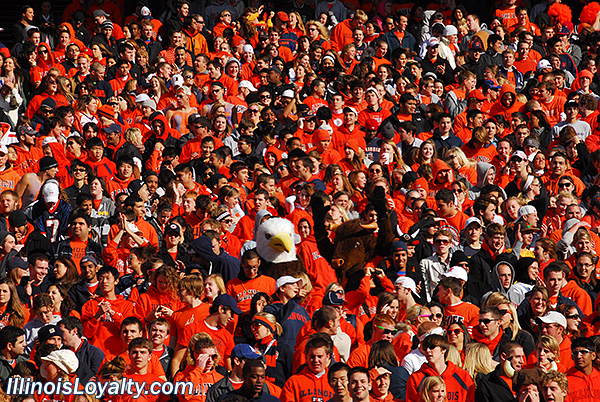 Football Stadium Fans