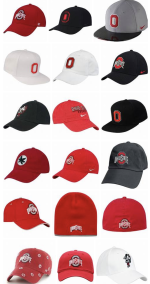 Ohio state hat store - Yahoo Image Search Results 2.png